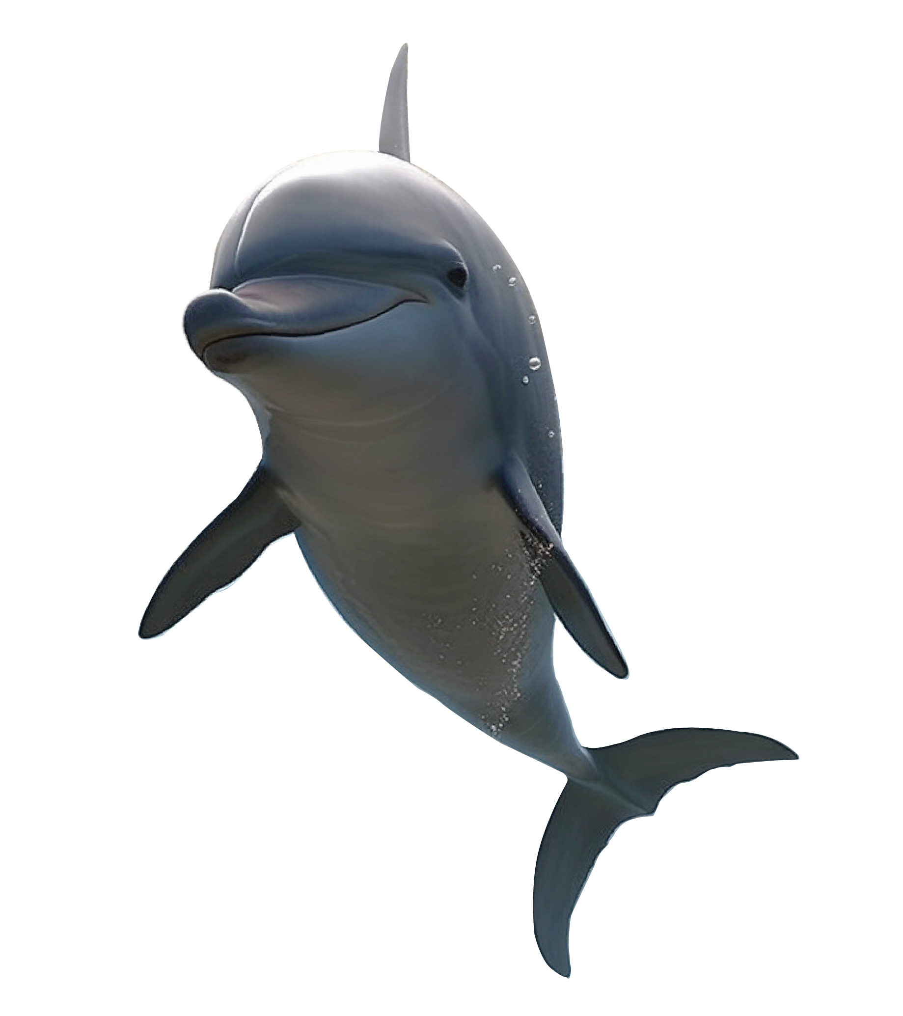 Alt Image